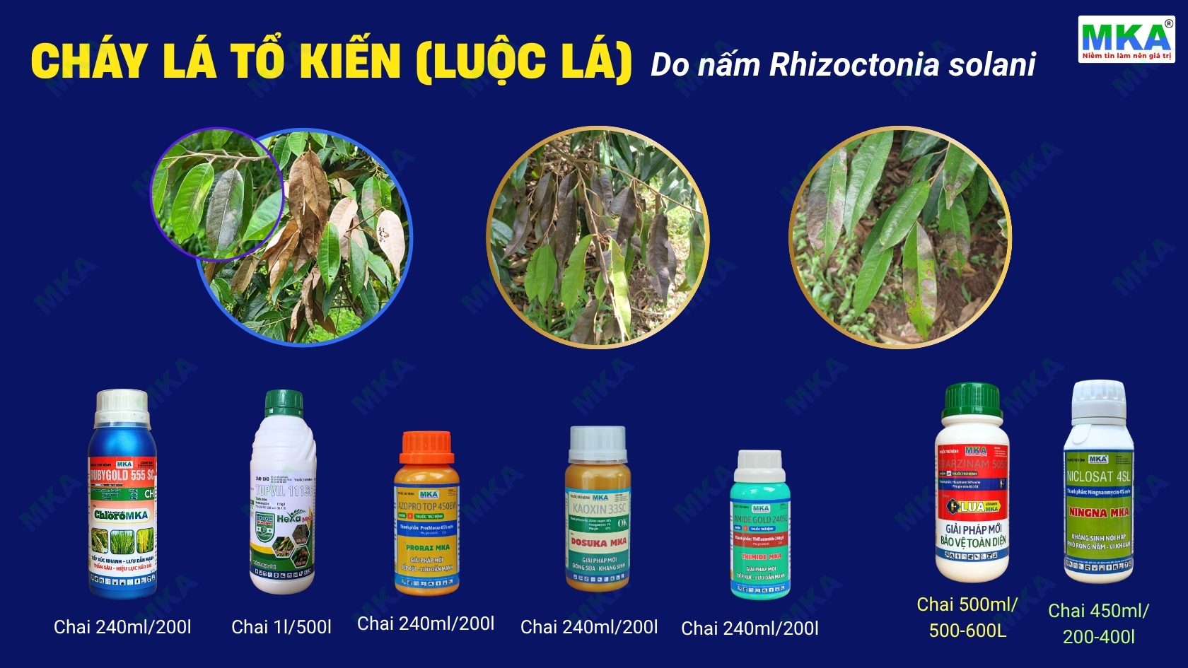 Thuốc trị bệnh luộc lá sầu riêng